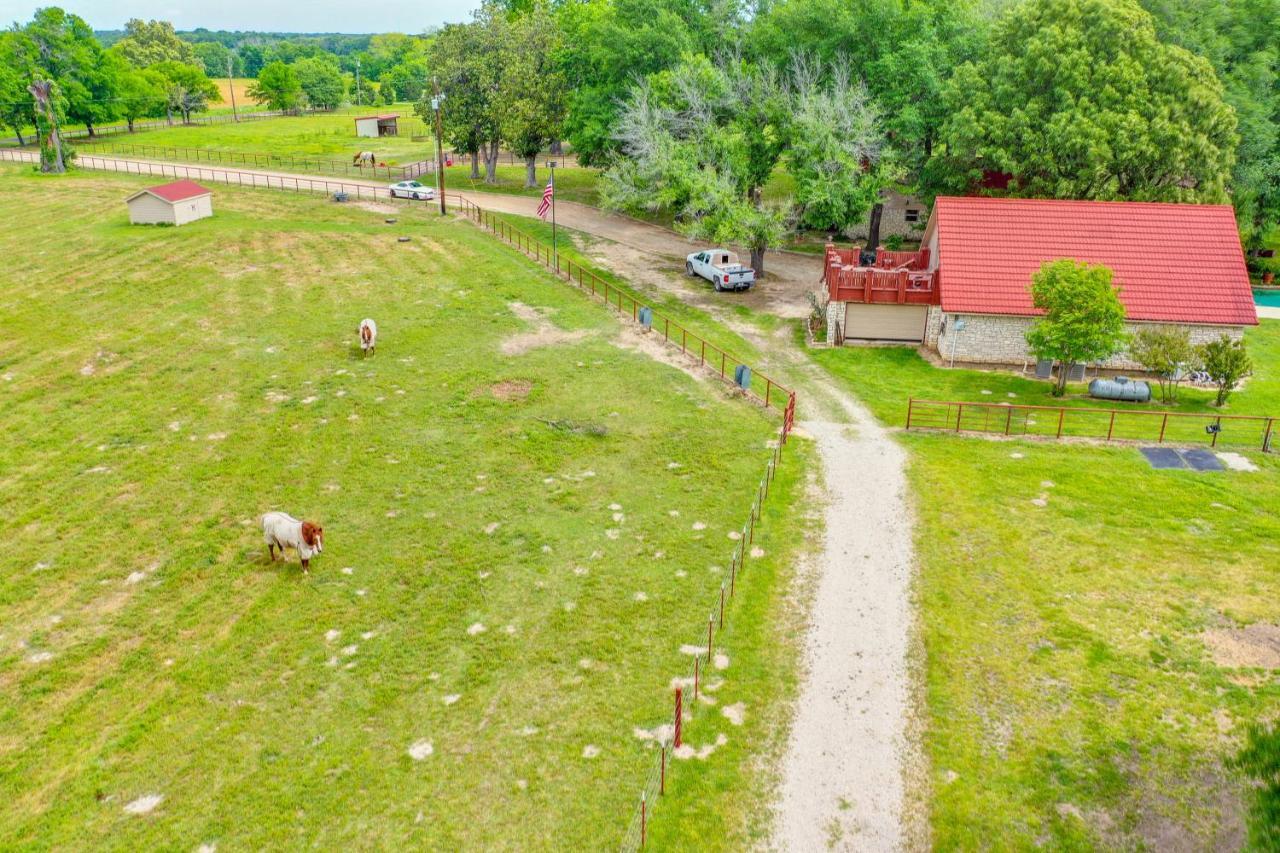 Dog-Friendly Wills Point Home With Grill On 10 Acres Canton Kültér fotó